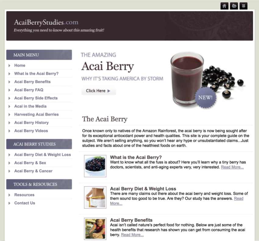 AcaiBerryStudies.com homepage